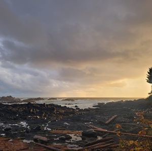 Meet your Posher, Carey